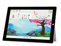 南海Surface 无法开启、Windows 无法启动或电池无法充电
